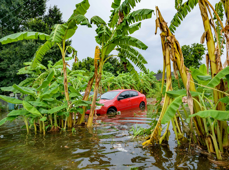 You can thank soon-to-be Tropical Storm Barry for all that water.